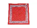 Glarner-Tuechli-swiss-made-original-rot_1-scaled.webp