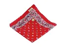 Glarner-Tuechli-swiss-made-original-rot_2-scaled.webp
