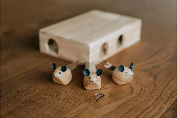 mousehouse.webp