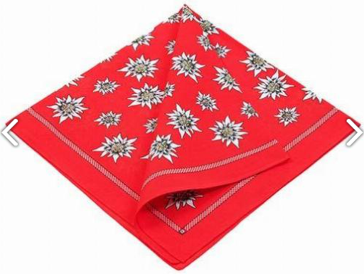 [4029] Nicky Foulard Edelweiss, 52x52 cm