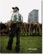 [1019] Mein Zug Buch