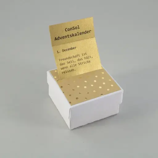 [6995] Mini Adventskalender ConSol