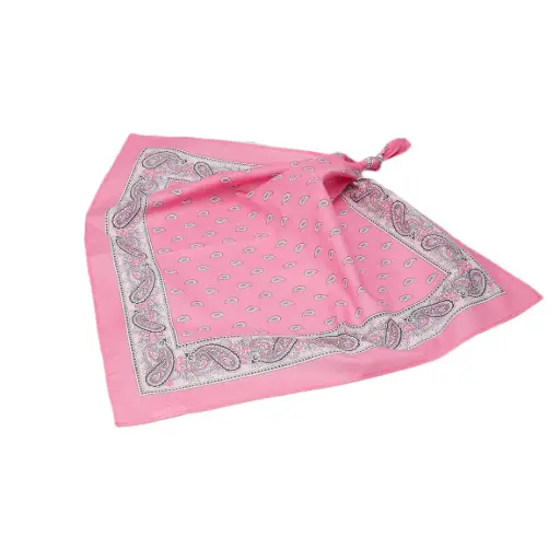[7338] Glarner Tüechli rosa 50x50 cm